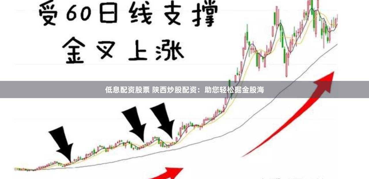 低息配资股票 陕西炒股配资：助您轻松掘金股海
